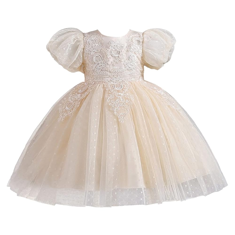 Amazon.com: Infant Girl Party Dresses Size 7 8: Exquisite